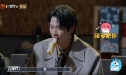 明星大侦探第八季在线观看,悬疑再升级，明星侦探团揭秘迷雾重重